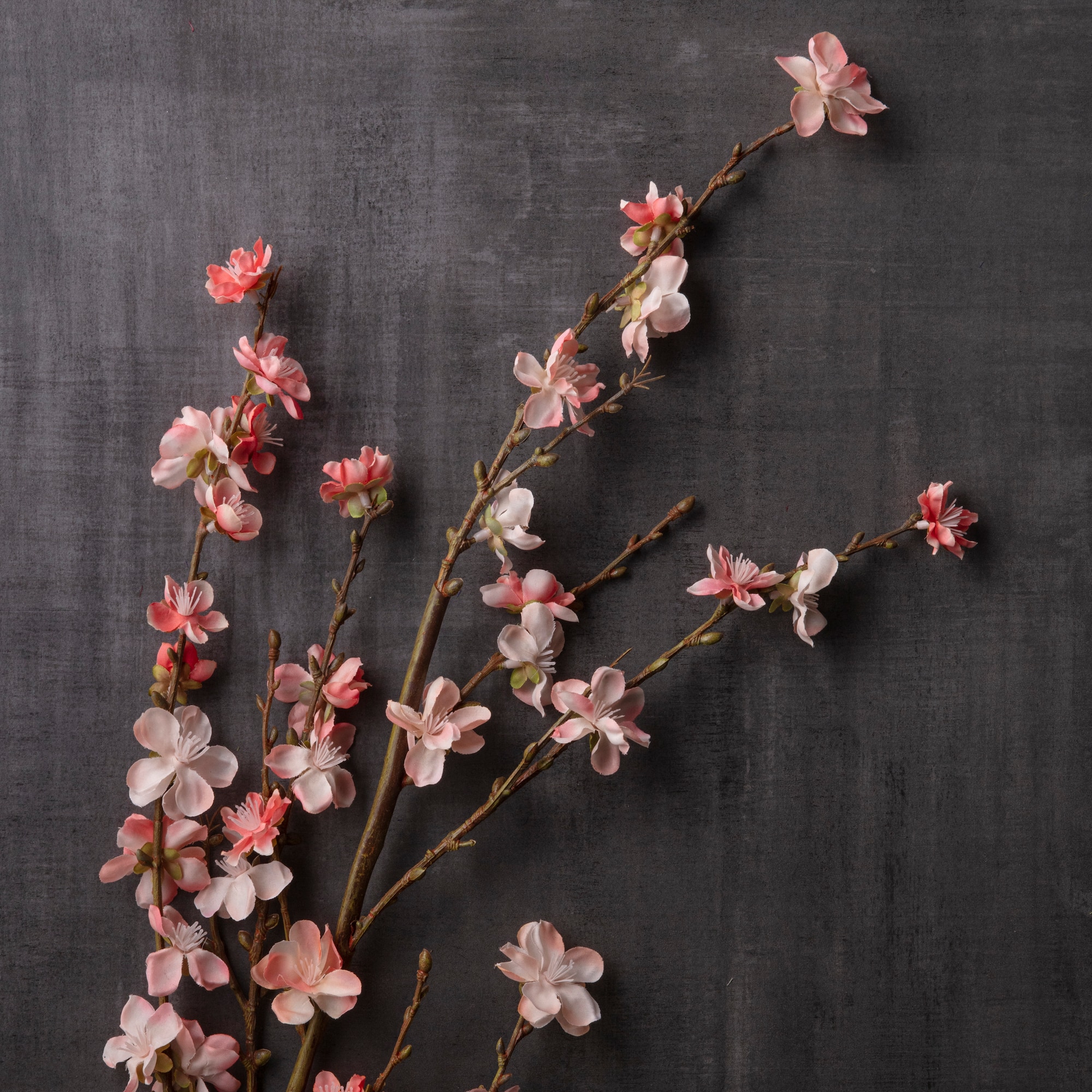 Peach Blossom Stem by Ashland